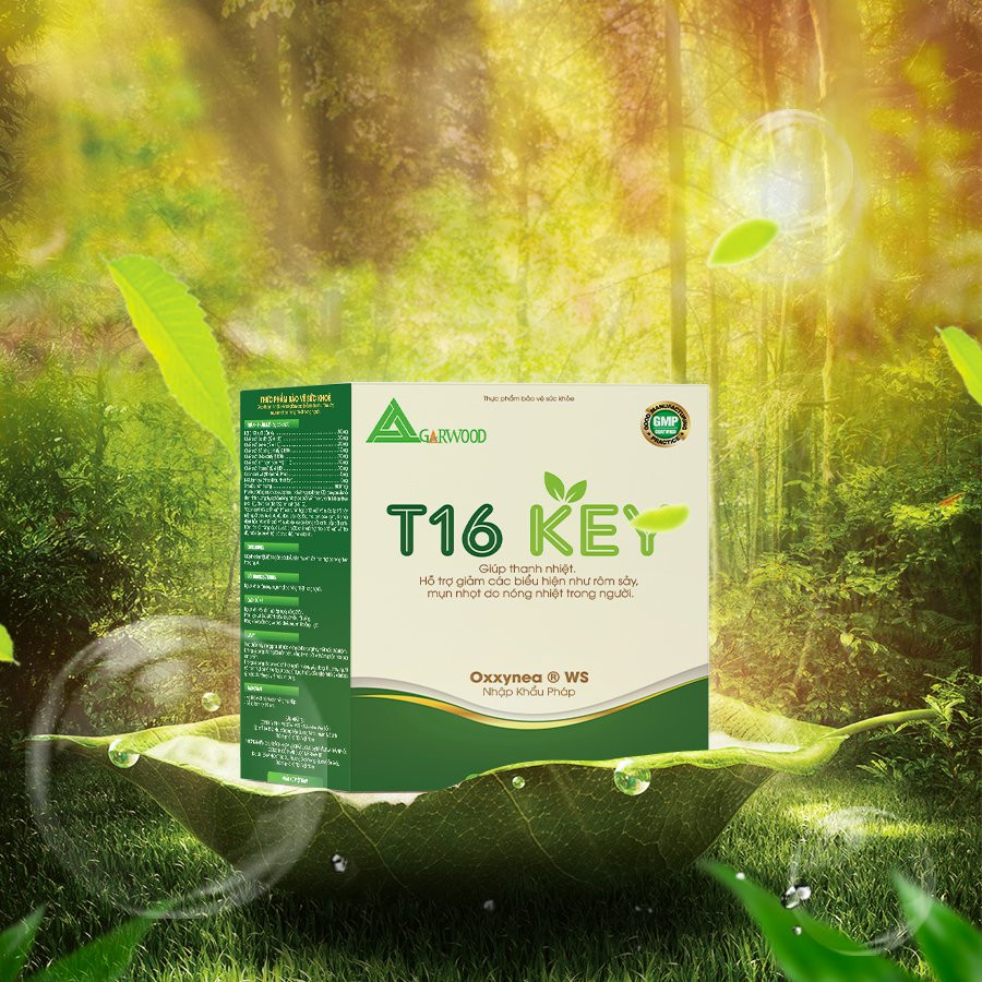 T16 Key